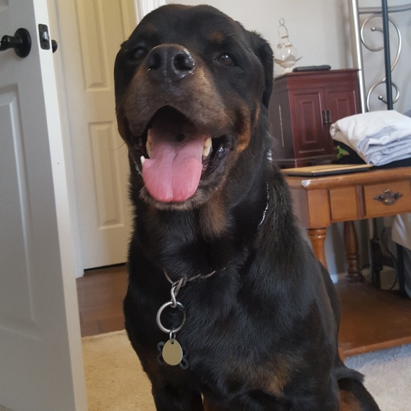 Meet Your Posher, Paige! - Picture 8 of 8